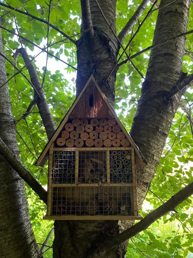 Bug Hotel Giussano 5.jpg